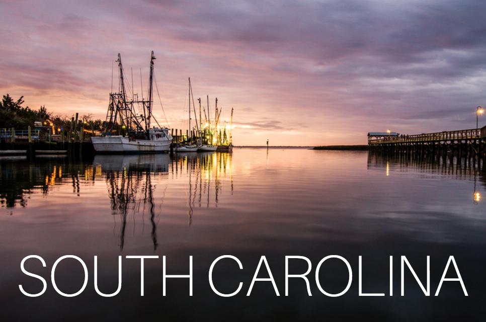 South Carolina the first state to secede from the Union South Carolina the first state to secede from the Union