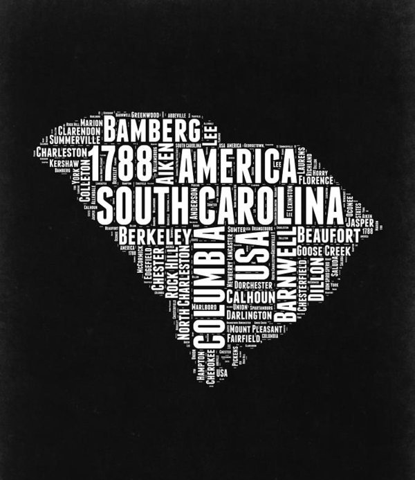 South Carolina the first state to secede from the Union South Carolina the first state to secede from the Union